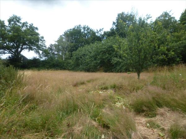 MAYENNE- Sortie de ville, terrain à bâtir hors lotissement.