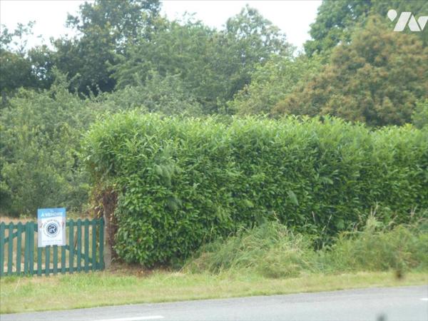 MAYENNE- Sortie de ville, terrain à bâtir hors lotissement.