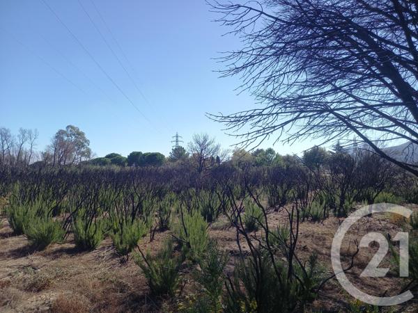 Terrain à vendre  3720 m2 ARGELES SUR MER - 66