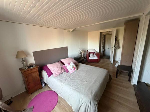Vente Maison 11 pièces 350 m2 à Germigny-sur-Loire