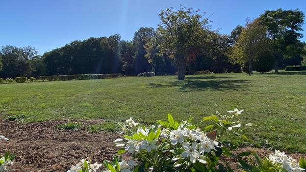 Terrain à bâtir non viabilisé au calme à 600 mètres du centre-ville