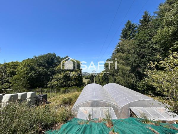 Maison de campagne isolée - 3 hectares - Dépendances
