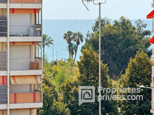 3 PIECES   HIPPODROME