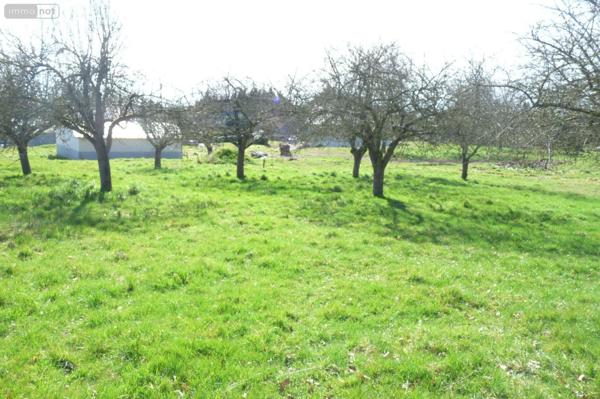 Maison à vendre à Ambrières-les-Vallées en Mayenne (53300), ref : 53075DLS25022