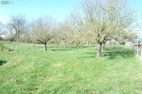 Maison à vendre à Ambrières-les-Vallées en Mayenne (53300), ref : 53075DLS25022