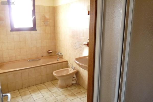 Maison à vendre à Ambrières-les-Vallées en Mayenne (53300), ref : 53075DLS25022