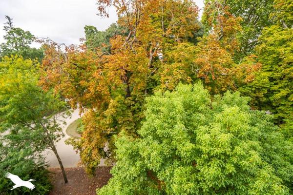 Appartement 324 500 € Bordeaux 1 pièce 43 m² DPE D