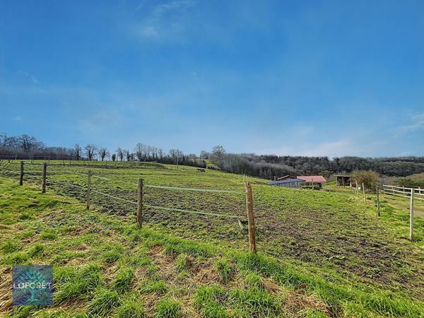 Achat maison Saint-Brice-de-Landelles - 5 pièce(s) - 207 m² - 367 500 €