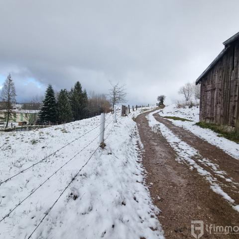 Appartement au cœur de la nature