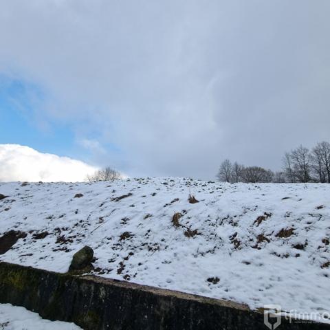 Appartement au cœur de la nature