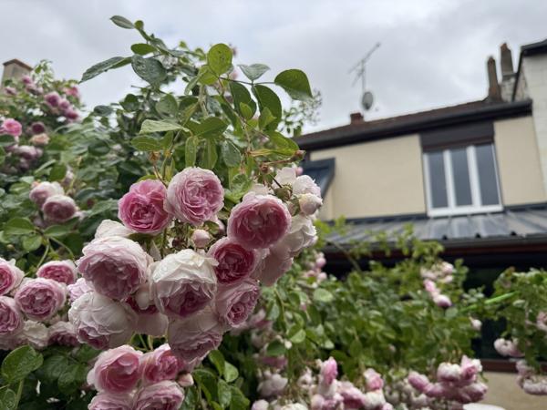 Special Investisseur ...