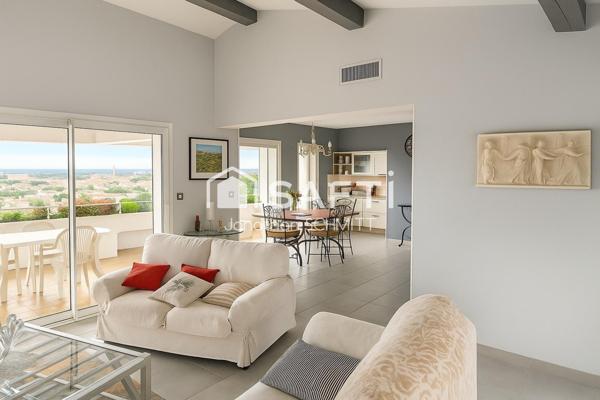 Vue panoramique sur la Cité de Carcassonne