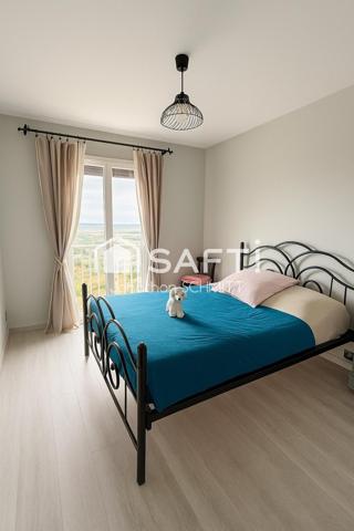 Vue panoramique sur la Cité de Carcassonne