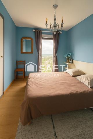 Vue panoramique sur la Cité de Carcassonne