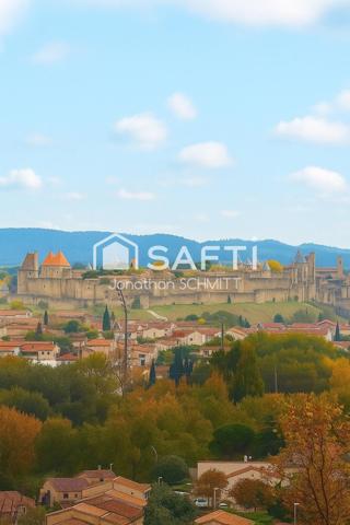 Vue panoramique sur la Cité de Carcassonne