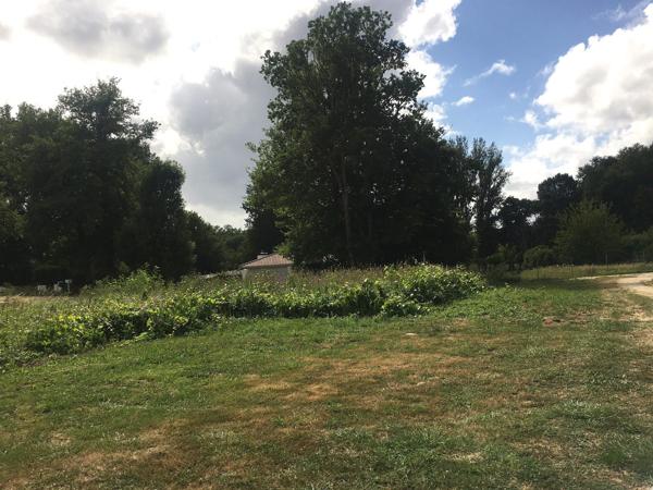 Charmant terrain plat