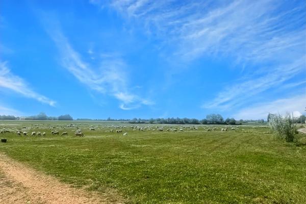 Propriété d'Exception en Camargue, entre Nîmes et Montpellier