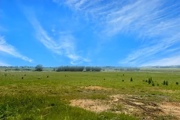 Propriété d'Exception en Camargue, entre Nîmes et Montpellier
