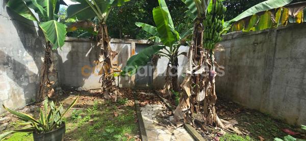 Vente Maison200 m² - LES ABYMES (97139)