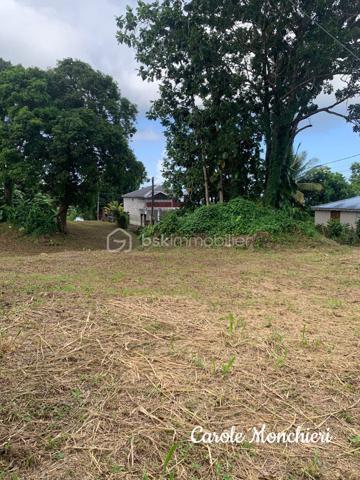 Terrain de 817 m²
