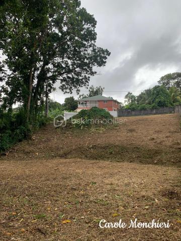 Terrain de 817 m²
