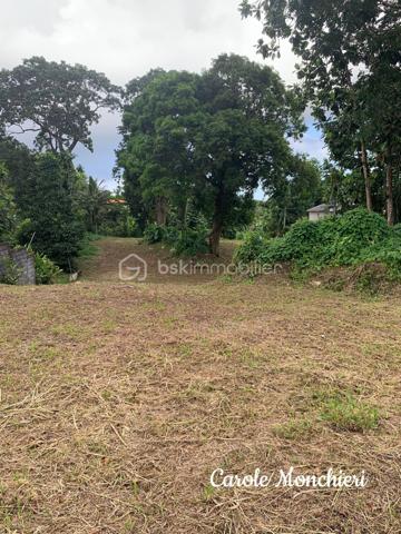 Terrain de 817 m²