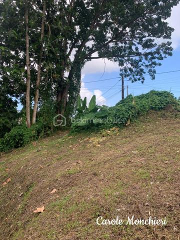 Terrain de 817 m²
