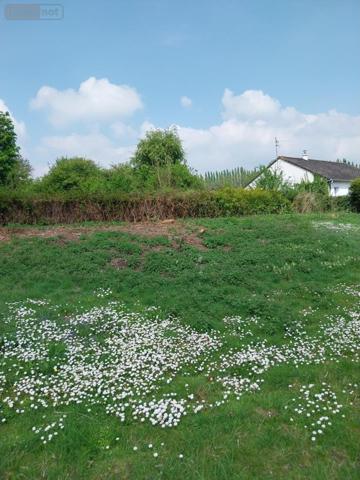 Terrain à Batir à vendre à Bajus dans le Pas-de-Calais (62150), ref : 62113-1229