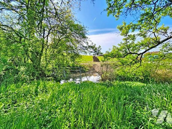Coup de cœur – Pavillon de plain-pied au cœur de la nature
