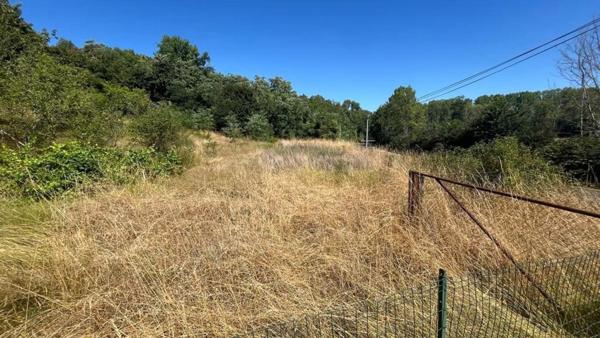 Terrain d'agrément et bois