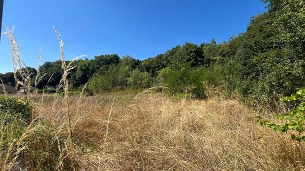 Terrain d'agrément et bois