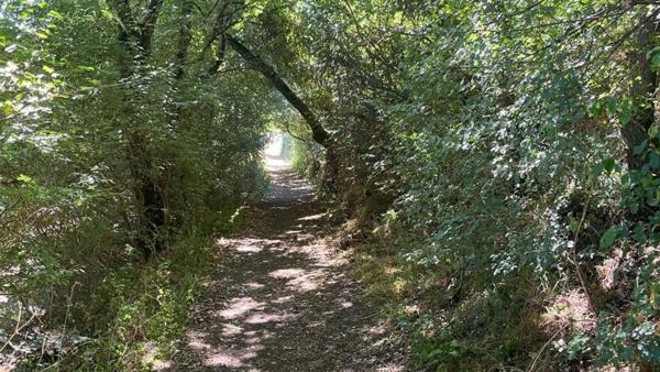Terrain d'agrément et bois
