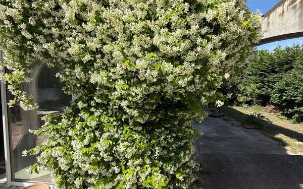 Maison à vendre    6 pièces •  Pézenas