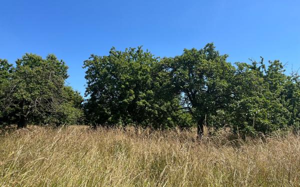 Maison à vendre    5 pièces • 110 m2 Beuzeville