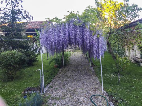 Charmante Maison de Ville avec Grand Jardin Privé