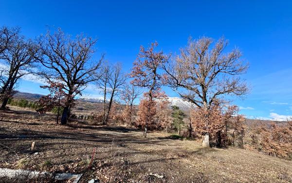 Terrain à vendre    Neffes