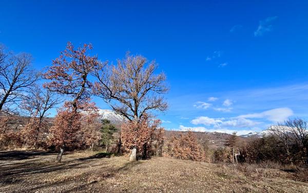 Terrain à vendre    Neffes