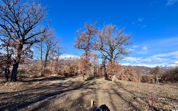 Terrain à vendre    Neffes