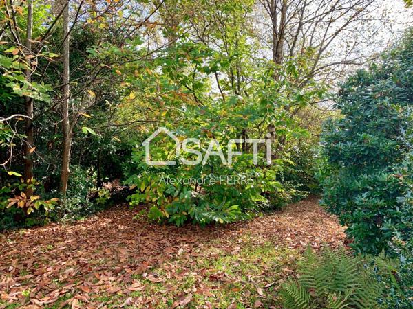 Maison familiale avec beau jardin à rénover