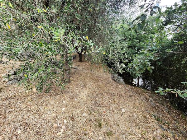 Rare Terrain à batir