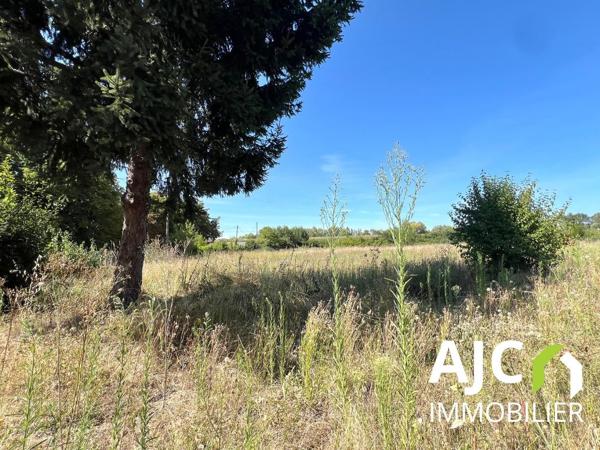 La Riche (37520) Ensemble immobilier à rénover avec dépendances