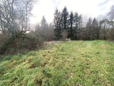 Bien agricole à vendre à Quistinic dans le Morbihan (56310), ref : 2847-56030