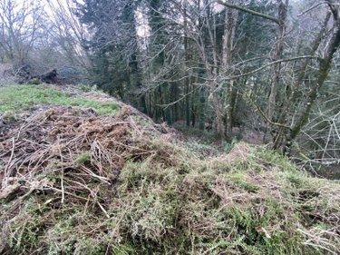 Bien agricole à vendre à Quistinic dans le Morbihan (56310), ref : 2847-56030