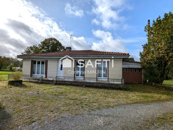 Aux portes de Blanzac, maison de plain-pied à fort potentiel, grand terrain arboré.