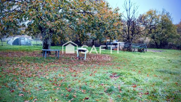 Aux portes de Blanzac, maison de plain-pied à fort potentiel, grand terrain arboré.