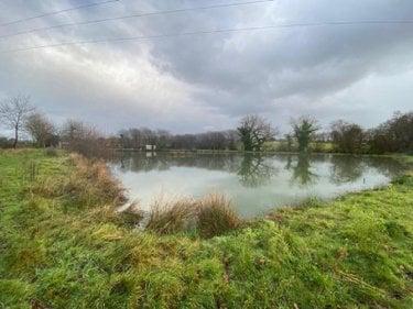 Terrain de loisirs - Bois - Etang à vendre à Tinténiac en Ille-et-Vilaine (35190), ref : 105/1895