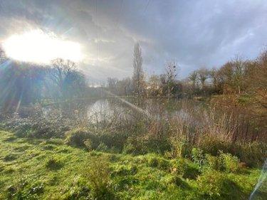 Terrain de loisirs - Bois - Etang à vendre à Tinténiac en Ille-et-Vilaine (35190), ref : 105/1895
