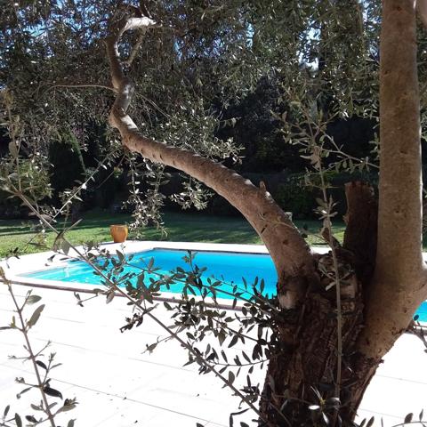 SUPERBE PROPRIÉTÉ de deux villas individuelles sur 2882 m² terrain