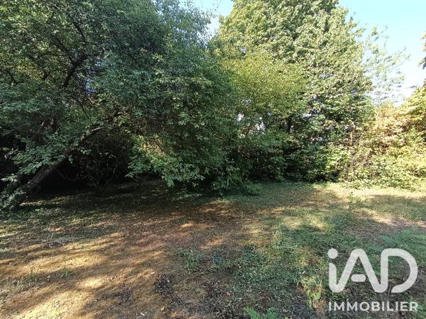 Terrain à vendre 1 420 m² Doué-en-Anjou