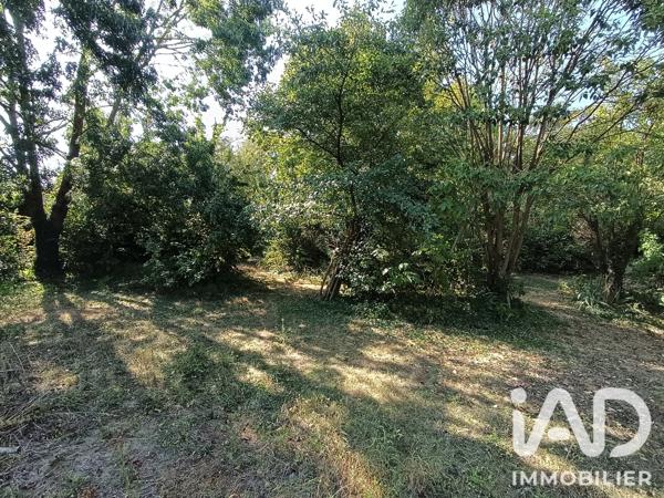 Terrain à vendre 1 420 m² Doué-en-Anjou